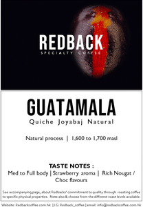 GUATAMALA Quiche Joyabaj Natural